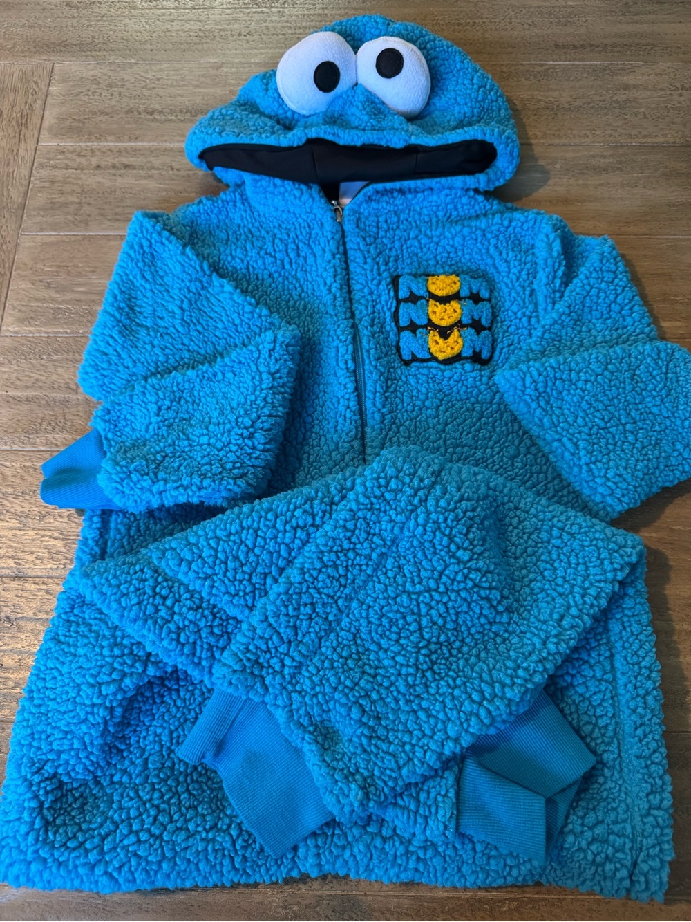 Sesame Street Cookie Monster Boy Costume